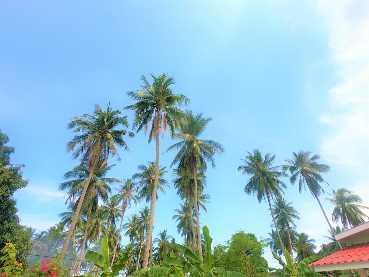 Wirason Villa Pool Maret Luaran gambar